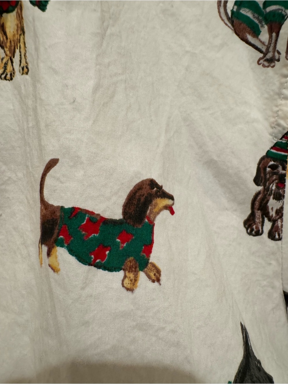 Talbots White Button-Up Shirt with Playful Dog Print - Picture 5 of 12